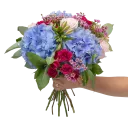 Bouquet of hydrangea